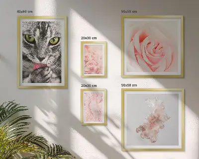 Gallerijmuur katten, rozen en delicate tinten