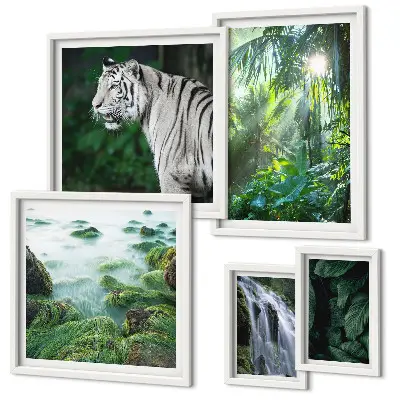 Gallery wall Tropische natuurdieren
