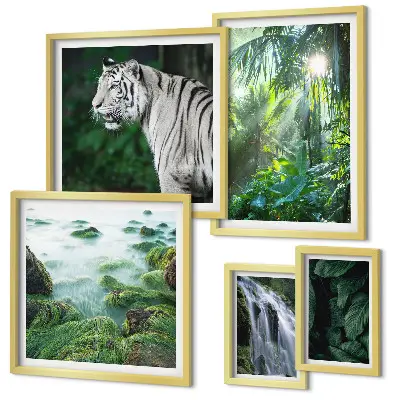 Gallery wall Tropische natuurdieren