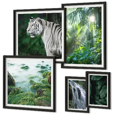 Gallery wall Tropische natuurdieren