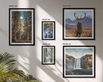 Set van moderne schilderijen met landschappen, watervallen en natuur