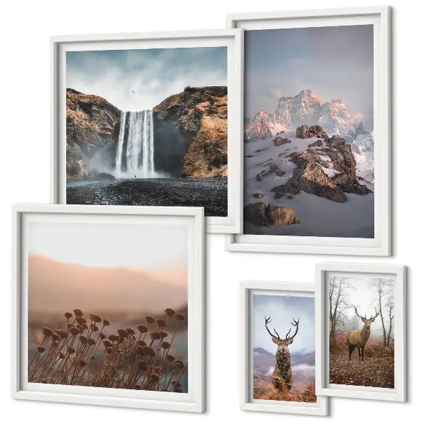 Gallery wall met berglandschappen en wilde dieren
