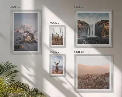 Gallery wall met berglandschappen en wilde dieren