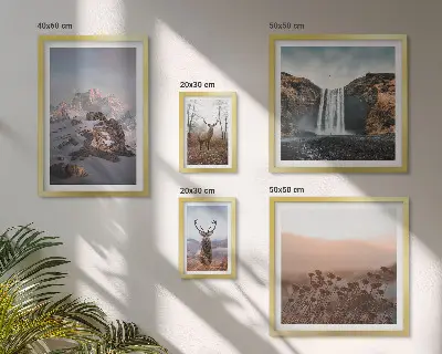 Gallery wall met berglandschappen en wilde dieren