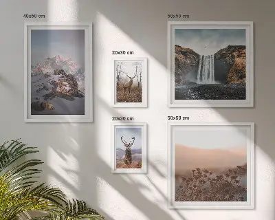Gallery wall met berglandschappen en wilde dieren