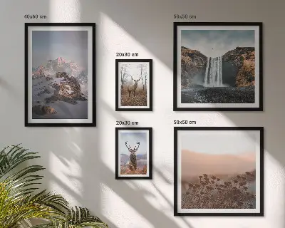 Gallery wall met berglandschappen en wilde dieren
