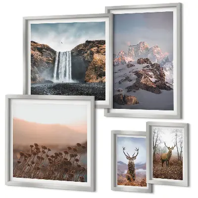 Gallery wall met berglandschappen en wilde dieren