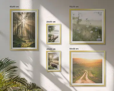 Gallery wall met boslandschap met zon en water
