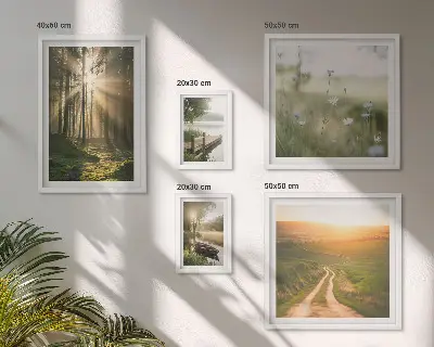 Gallery wall met boslandschap met zon en water