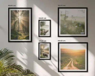 Gallery wall met boslandschap met zon en water