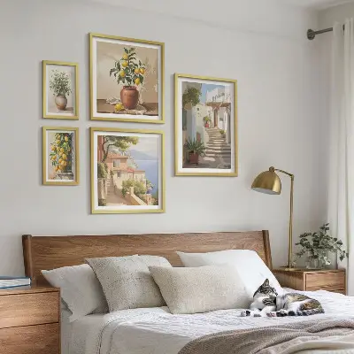 Kamerplanten stijlvolle set