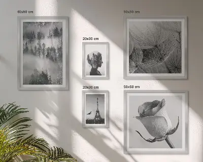 Fotowand zwart-witte natuur en stad
