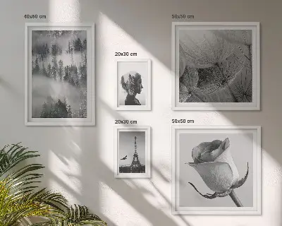 Fotowand zwart-witte natuur en stad