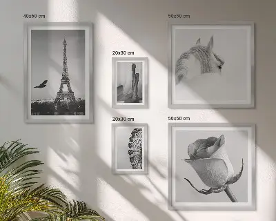 Moderne schilderijen set Stijlvolle zwart-witfoto's