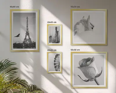 Moderne schilderijen set Stijlvolle zwart-witfoto's