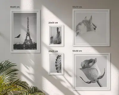 Moderne schilderijen set Stijlvolle zwart-witfoto's
