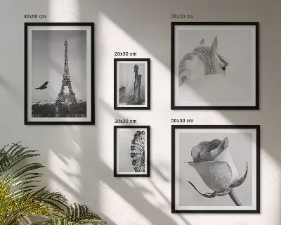 Moderne schilderijen set Stijlvolle zwart-witfoto's