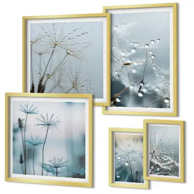 Set van moderne schilderijen met plantmotieven en waterdruppels