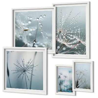 Gallery wall Waterdruppels op planten