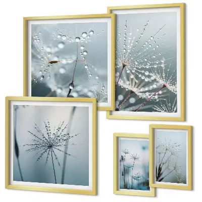 Gallery wall Waterdruppels op planten