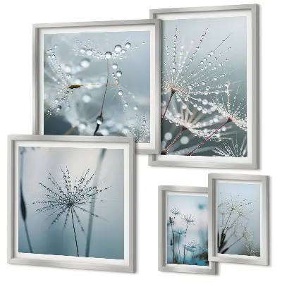 Gallery wall Waterdruppels op planten