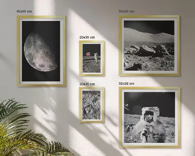 Maanlandschappen van astronauten galerijmuur