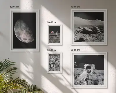 Maanlandschappen van astronauten galerijmuur