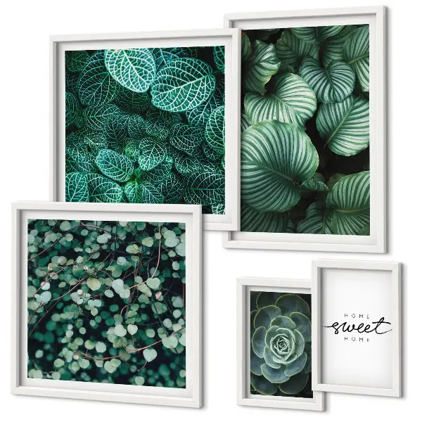 Gallery wall Moderne planten met groene bladeren