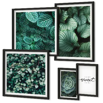 Gallery wall Moderne planten met groene bladeren