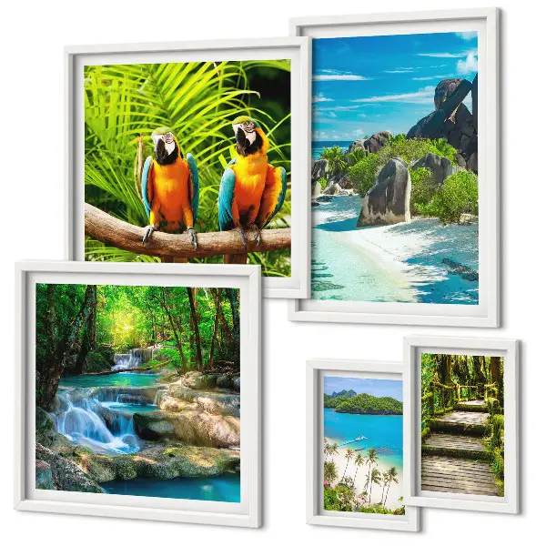 Set van moderne schilderijen met tropische landschappen, vogels en watervallen