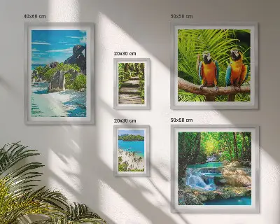 Set van moderne schilderijen met tropische landschappen, vogels en watervallen