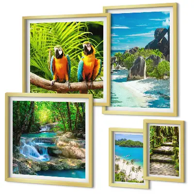 Set van moderne schilderijen met tropische landschappen, vogels en watervallen