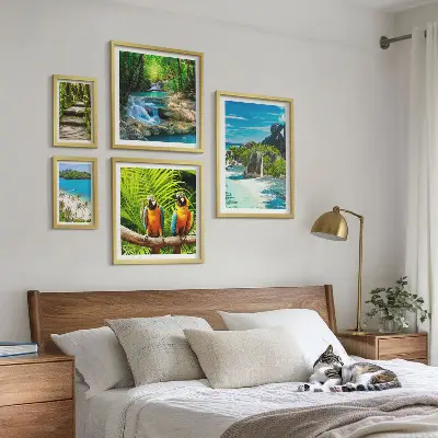 Set van moderne schilderijen met tropische landschappen, vogels en watervallen