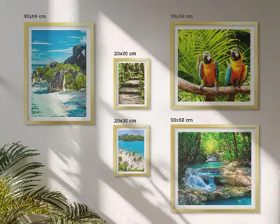 Set van moderne schilderijen met tropische landschappen, vogels en watervallen