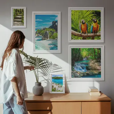 Set van moderne schilderijen met tropische landschappen, vogels en watervallen