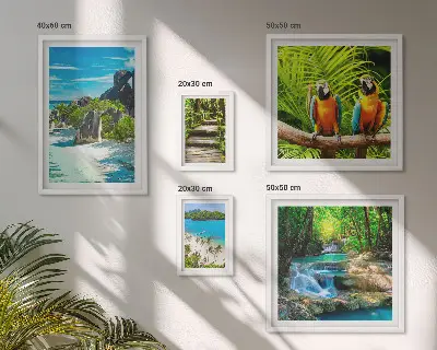 Set van moderne schilderijen met tropische landschappen, vogels en watervallen