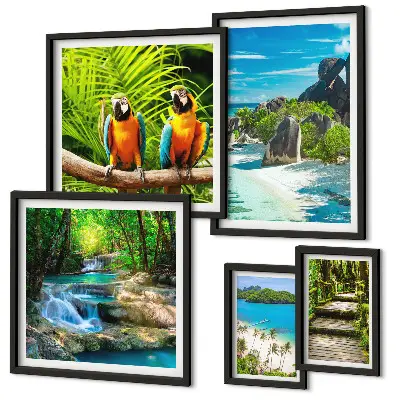 Set van moderne schilderijen met tropische landschappen, vogels en watervallen