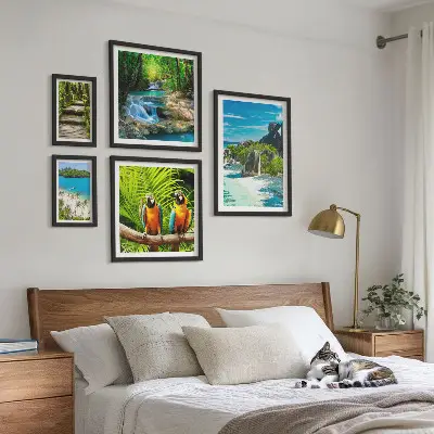 Set van moderne schilderijen met tropische landschappen, vogels en watervallen