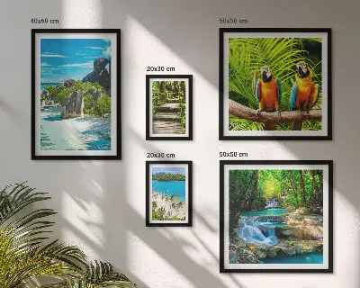 Set van moderne schilderijen met tropische landschappen, vogels en watervallen