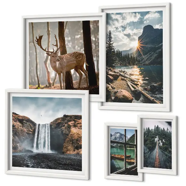 Set van moderne schilderijen met landschappen, natuur, watervallen en fauna