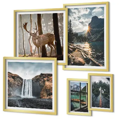 Set van moderne schilderijen met landschappen, natuur, watervallen en fauna