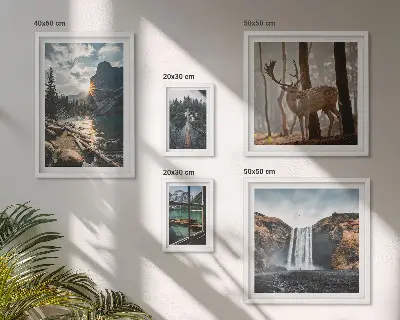 Set van moderne schilderijen met landschappen, natuur, watervallen en fauna