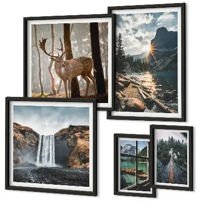 Set van moderne schilderijen met landschappen, natuur, watervallen en fauna
