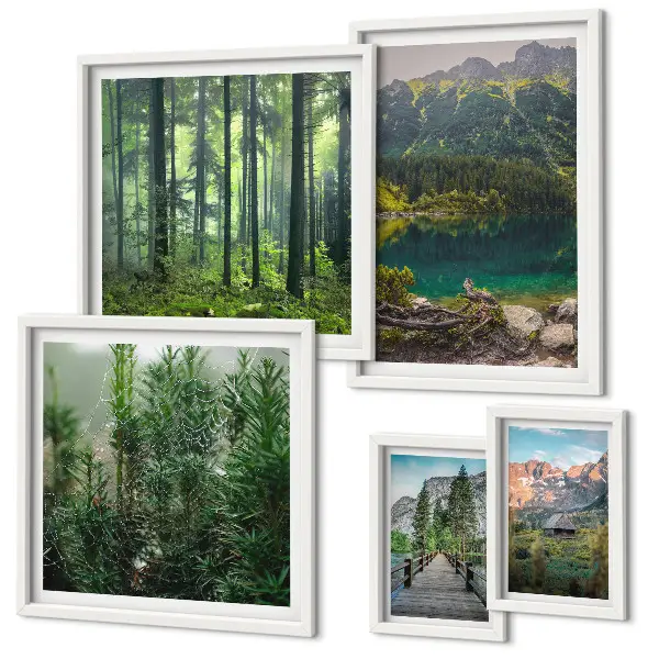 Gallery wall Berglandschappen en bossen