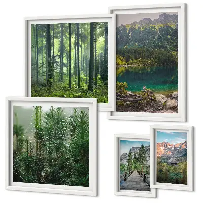 Gallery wall Berglandschappen en bossen