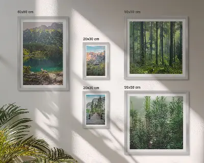 Gallery wall Berglandschappen en bossen