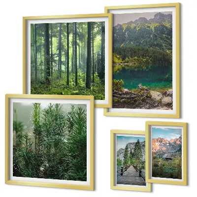 Gallery wall Berglandschappen en bossen