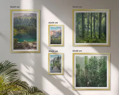 Gallery wall Berglandschappen en bossen
