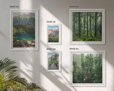 Gallery wall Berglandschappen en bossen