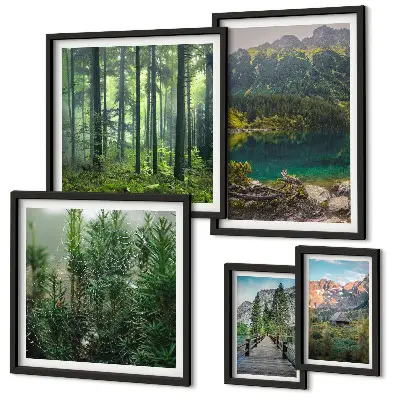Gallery wall Berglandschappen en bossen